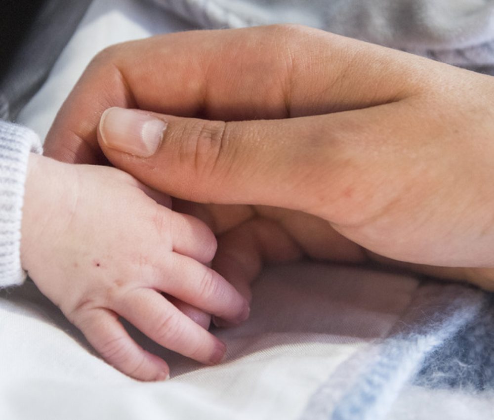 Gros plan sur les mains d'un parent et de son enfant, à la maison Ronald McDonald de Grenoble.